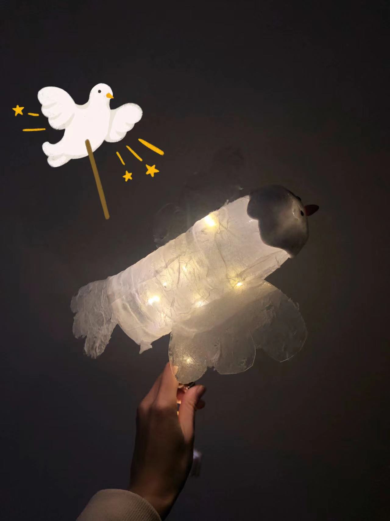 图4.白鸽.jpg
