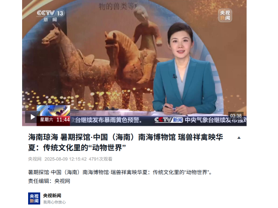 1763605160389797.png image.png