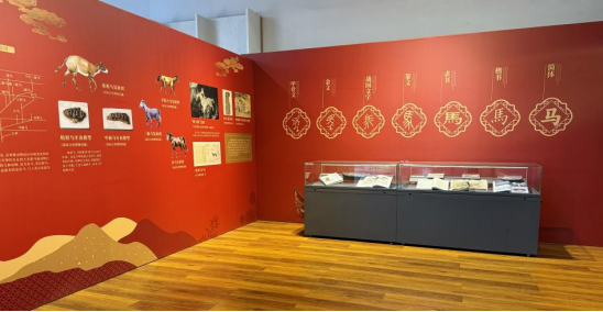 1772176191786208.png image.png